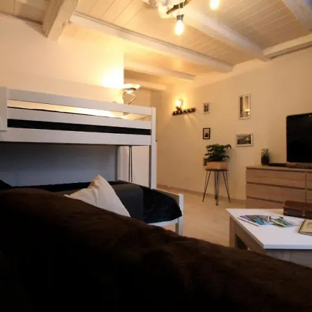 Le Puy-en-velay, 2 Pieces, 3 Personnes - Fr-1-582-75 Holiday home Le Puy-en-Velay